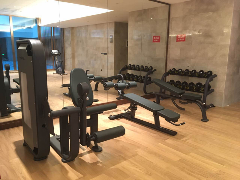 酒店健身房器材,室内健身器材,高端商用健身器材-广西huatihui体育健身器材有限公司