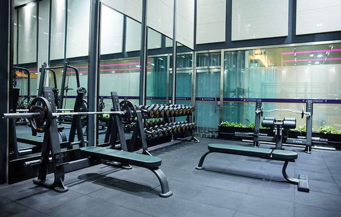 室内健身器材-自由力量器械 室内健身器材-自由力量器械